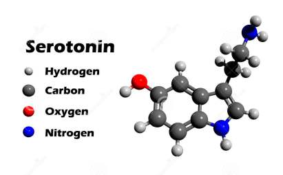 serotonin-d-structure-hormone-contributes-to-feeling-happines-white-background-47941654