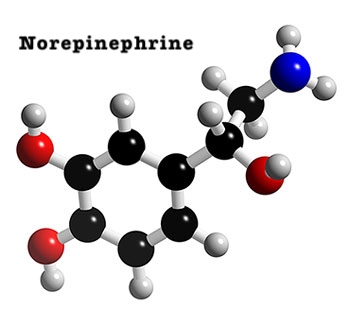 You_Doodle+_2017-10-26T17_13_00Z